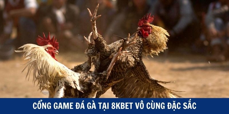 Cổng game đá gà tại 8kbet vô cùng đặc sắc